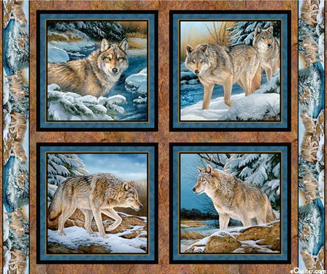 Pillow Panels, Wildlife Quilts, Panel Quilt Patterns, Silver Wolf, Wolf Pictures, Panel Quilts, Wolf Pack, Life Pictures, Wild Life