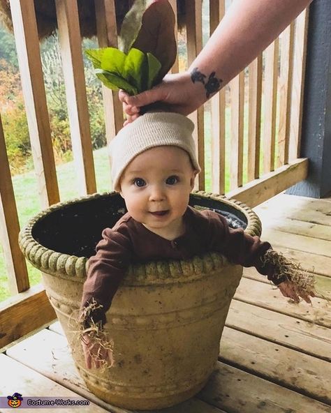 Baby Mandrake Costume Baby Costumes For Boys Diy, Baby Halloween Costumes For Boys Family, Mandrake Halloween Costume, Baby Diy Halloween Costumes, 3 Month Halloween Costume, Harry Potter Mandrake Costume, Newborn Halloween Costumes Family Of 3, 10 Month Old Halloween Costume, Babies In Costumes