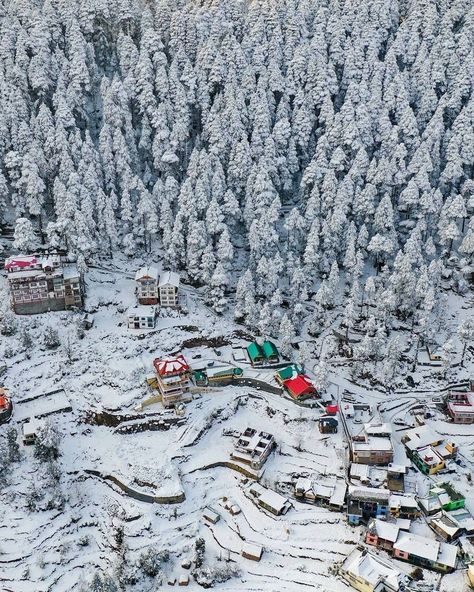 816 Likes, 3 Comments - Discover India (@discoverindia.magazine) on Instagram: “Khajjiar is known as the Mini Switzerland of India, and now we know why. Courtesy:…” Golden Triangle, India Tour, Himachal Pradesh, Travel Companies, Udaipur, Holiday Packaging, Agra, Heaven On Earth, Tour Packages