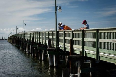 The Remote Town Near New Orleans That’s Full Of Adventure Grand Isle Louisiana, Restaurants In New Orleans, Douglas Lake, Familiar Places, Louisiana Travel, Grand Isle, Seafood Restaurants, Fishing Pier, Lake Cabins