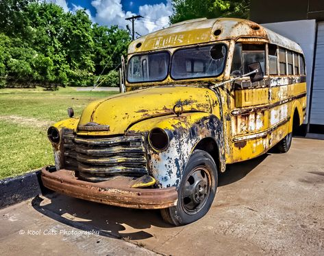 The Old Chevy School Bus Old Chevy, 60s Aesthetic, Old School Bus, Cats Photography, Abandoned Cars, Cat Photography, School Bus, Vintage 60s, Old Cars