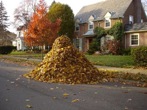 Fall Cardboard Forts, Leaf Pile, Dream Dictionary, Dream Meanings, Seasonal Allergies, Pumpkin Season, Dry Leaf, Fabulous Fall, Autumn Aesthetic