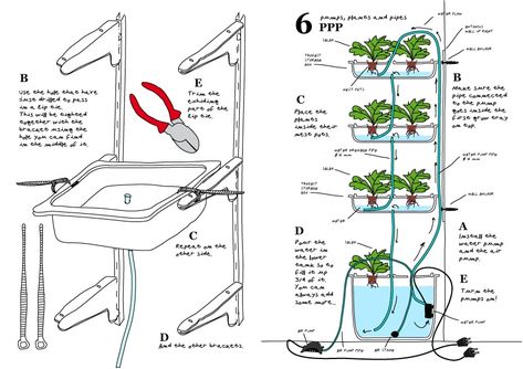 IKEA Hackers: ELIOOO. Grow your food. How to go to Ikea and grow food in your apartment. Apartment Aquaponics, Growing Food Indoors, Backyard Aquaponics, Aquaponics Diy, Aquaponics Fish, Hydroponic Farming, Hydroponics Diy, Aquaponic Gardening, Hydroponic Growing