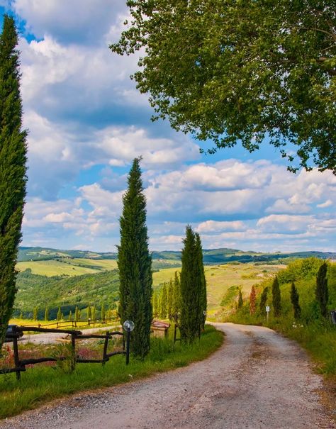 Dirt Road, Tuscany Italy, Rolling Hills, Tuscany, Trees, Italy, Road