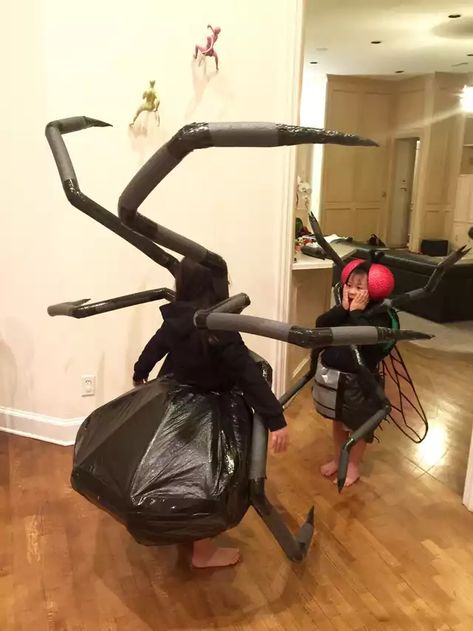 The Spider and the Fly (Halloween 2016) - Imgur Diy Black Widow Spider Costume, Spider And Fly Costume, Spider King Costume, Diy Spider Legs Costume, Kids Spider Costume Diy, Women Spider Costume, Diy Spider Costume Kids, Spider Family Costume, Black Widow Costume Spider