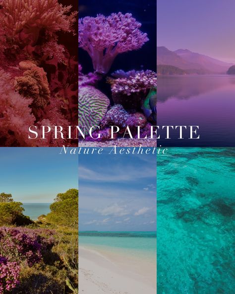 Spring Palette Mood Board 🤍 . #coloranalysis #colouranalysis #coloranalyst #springpalette #lightspring #truespring #brightspring True Spring Aesthetic, True Spring Palette, Spring Moodboard, Color Seasons, True Spring, Colour Analysis, Spring Palette, Spring Color Palette, Bright Spring