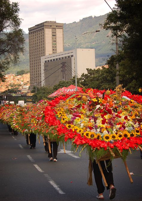 Medellin, Colombia Flower Festival Colombia Illustration, Colombia Country, Colombian Culture, Colombia South America, Culture Day, Festivals Around The World, Colombia Travel, Flower Festival, Illustration Ideas