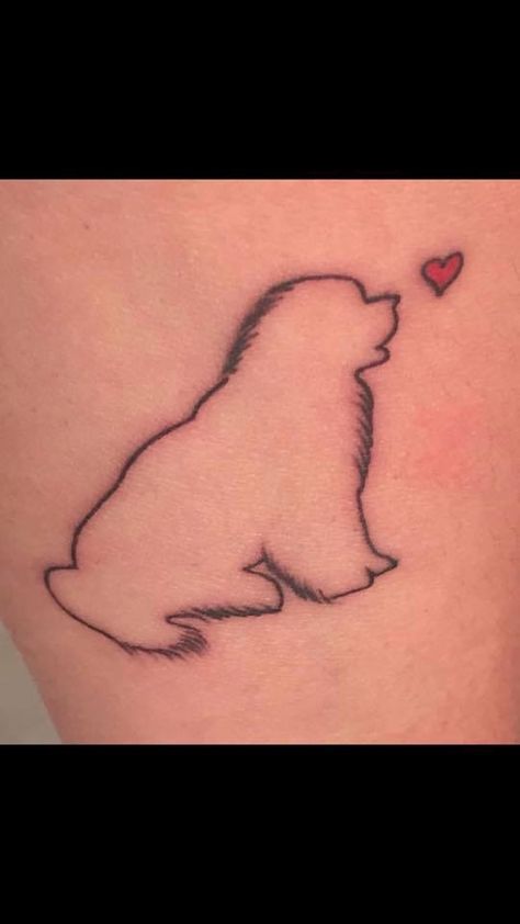 Newfie Dog, Saint Bernards, Memorial Tattoo, Newfoundland Dog, I Love Me, St Bernard, Dog Tattoo, Dog Tattoos, Animal Friends