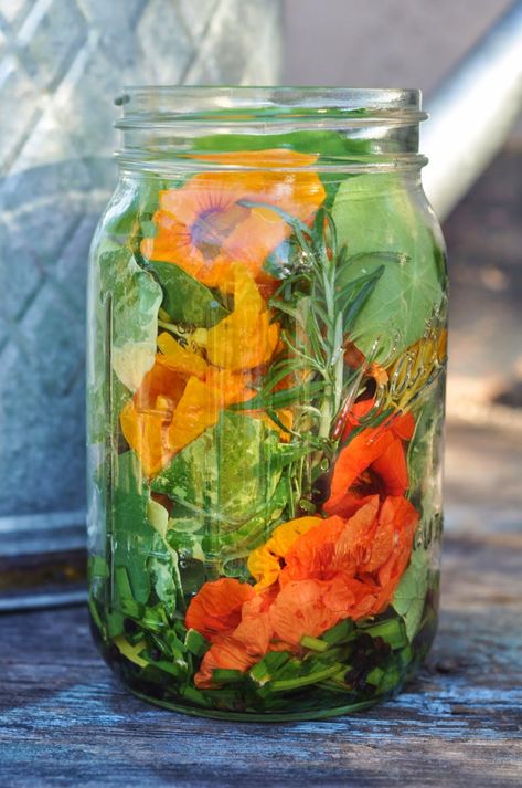 Edible Flowers Recipes, Foraging Recipes, Fermentation Recipes, Foraged Food, Herbal Recipes, Wild Edibles, Garden Recipes, Flower Food, Wild Food