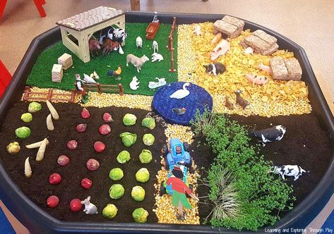 Farm Activities for Preschool Farm Eyfs, Farm Activities For Preschool, Ideas For Kids Activities, Farm Activities Preschool, Tuff Tray Ideas Toddlers, Farm Animals Preschool, Eyfs Ideas, Farm Animals Activities, Farm Theme Preschool