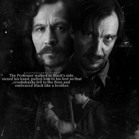 Sirius Black and Remus Lupin. You can't say there is no relationship beyond friendship. It's screaming at my this entire scene!!!! Sirius And Lupin, David Thewlis, Web Games, Nymphadora Tonks, Gryffindor House, Remus And Sirius, Gellert Grindelwald, Harry Pottah, Party Rock