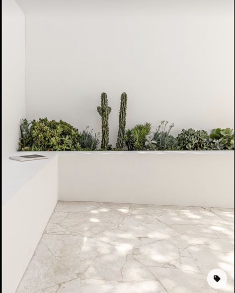 White Backyard Wall, Cement Patio Decorating Ideas, Brushed Concrete Patio, Palm Springs Garden, Patio Courtyard, White Patio, She Is Strong, Small Patio Garden, Have Inspiration