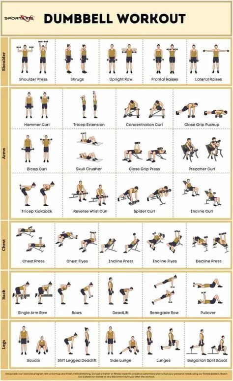 Workout Poses, Exercise Poster, Workout Gym Routine, Home Training, Strength Training Routine, Dumbell Workout, Workout Posters, Daily Exercise Routines, Body Training