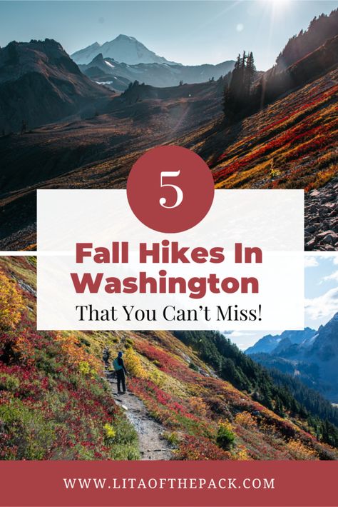 Visit the rugged Pacific Northwest in autumn and surround yourself with golden larches. Find out the 5 best Fall hikes in Washington. These hikes sit in the gorgeous mountain landscapes of Mount Rainier, Mount Baker, and the North Cascades. You will be astounded at the incredible fall foliage in these picturesque landscapes! Get all of the best tips on hiking in Washington in Fall and find out what you can't miss. Seattle Hiking, Fall Hikes, Mount Baker, Cascade Falls, Washington Hikes, East Coast Travel, Canada National Parks, Mountain Landscapes, Hiking Destinations