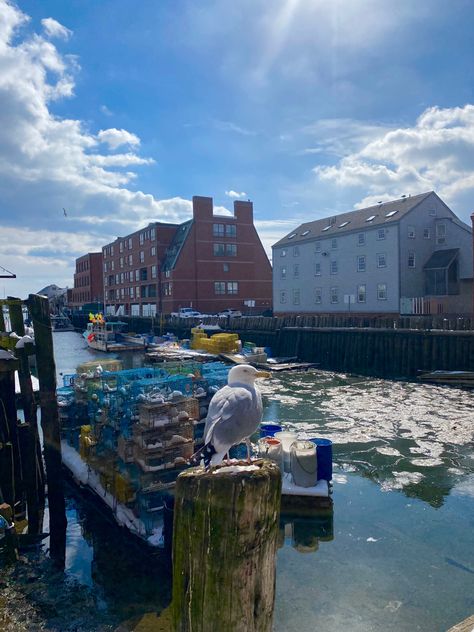 Portland Maine Fall, Portland Maine Aesthetic, Maine Aesthetic Summer, Maine Lifestyle, Maine Vibes, Portland Maine Restaurants, Maine With Kids, Eastport Maine, Maine Restaurants