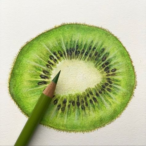 Kerley Crafts on Instagram: “Work in progress of a 🥝 kiwi fruit. Was excited to use my new supplies from Santa!!! Swipe to see WIP photos #blickartmaterials…” Kiwi Fruit Drawing, Realism Sketchbook, Kiwi Drawing, Fruit Drawings, Fruit Sketch, Fruit Art Drawings, Vegetable Painting, Buddha Art Drawing, Bullet Journal Ideas Templates