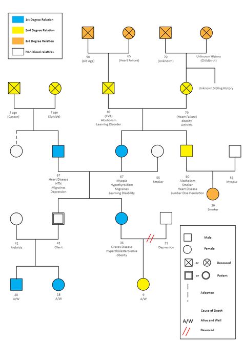 Health History Genogram | EdrawMax Free Editbale Printable Family Genogram Template, Genogram Family Tree, Genogram Example, Family Relationship Chart, Family Genogram, Genogram Template, Family Health History, Science Diagrams, Coping Skills Activities