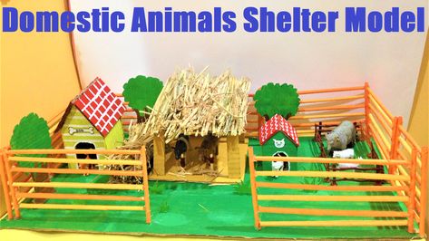 Animals Shelter, Science Exhibition, Geography Project, Physics Projects, Chemistry Projects, Computer Projects, Domestic Animals, Science Project, Animal Projects