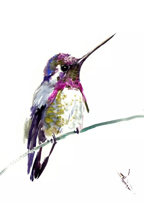 Hummingbird Tattoo Watercolor, Bird Painting Diy, Watercolor Hummingbird, Hummingbird Pictures, Hummingbird Painting, Painting Purple, Bird Watercolor Paintings, Watercolor Birds, Hummingbird Art