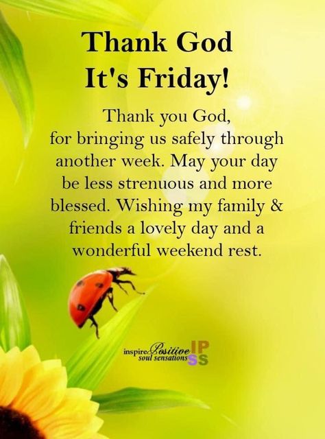 Friday Morning Prayers, Thank God Its Friday, Good Morning Poems, Good Morning Honey, Friday Morning Quotes, Quotes To Start Your Day, Inspirational Good Morning Messages, Good Morning Dear Friend, Quotes Morning