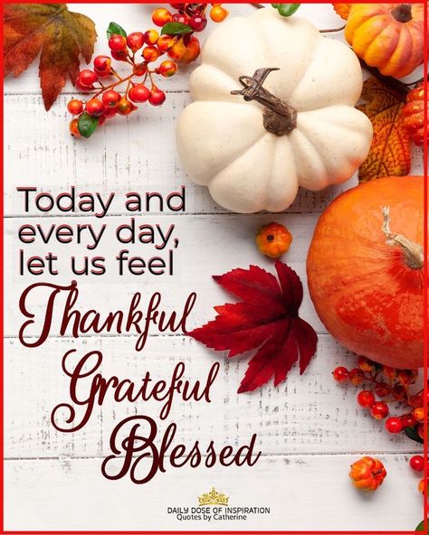 Thanksgiving Blessing Quotes, Grateful Thankful Blessed Quotes, Thankful Quotes Life, Happy Thanksgiving Wallpaper, Happy Thanksgiving Cards, Kindness Lessons, Thanksgiving Poems, Happy Thanksgiving Pictures, Dream Word