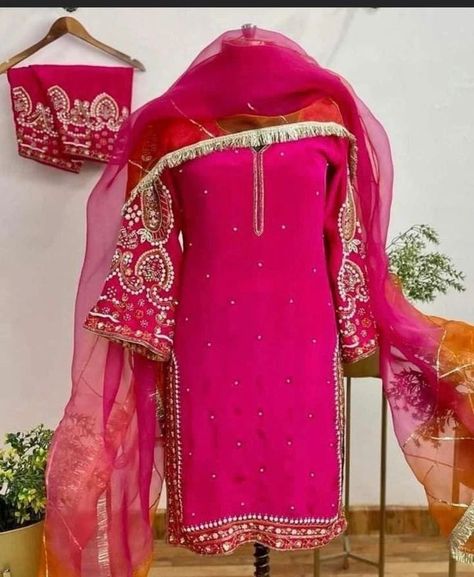 Punjabi Boutique Suits, Heavy Suits, Simple Suits, Floral Dresses With Sleeves, Bridal Suit, Asian Style Dress, Cotton Pants Women, Ladies Suit, Velvet Dress Designs