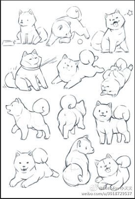 Chibi With Pet Pose, How To Draw Shiba Dog, Shiba Drawing Cute, Small Dog Drawing Reference, Puppy Reference Drawing, Pet Drawing Reference, Pet Sketch Drawings, Chibi Dog Poses, Dogs Drawing Reference