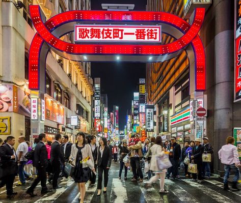 Japan Weather, Beauty Of Japan, Tokyo Skyline, Canoe Camping, Kabukicho, Entrance Gate, Memoirs Of A Geisha, Tourism Day, Red Light District