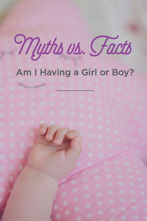 Signs of Having a Girl: Myths and Facts Boy Vs Girl Pregnancy, Gender Myths, Boy Or Girl Sign, Myths Vs Facts, Pregnant Tips, Belly Boy, Pregnant With Boy, Myths And Facts, Pregnant With A Girl