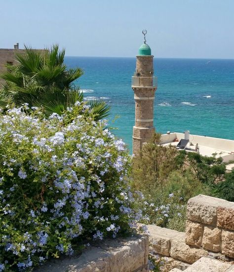 Old city of Jaffa Isareal Jew Aesthetic, Old Jaffa, Building Aesthetic, Culture Day, Foreign Travel, Arab Culture, Haifa, Summer Break, Holy Land