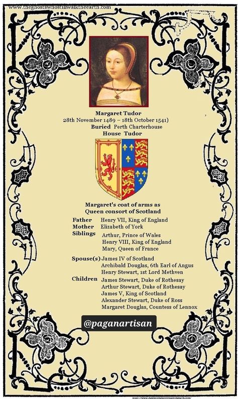 Henry Viii Family Tree, Ancestry Photos, Tudor Queen, The Tudor Family, Margaret Tudor, English Ancestry, Historical Portraits, Tudor Monarchs, Wolf Hall