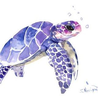 Akvarel Illustration, Turtle Tattoos, Sea Turtle Watercolor, Sea Turtle Painting, Turtle Watercolor, Turtle Painting, Turtle Art, A Turtle, Blue Painting