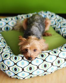 Free Sewing Pattern: Quick Stitch Dog Bed Danny Dog, Diy Dog Bed, Quick Stitch, Beginner Sewing Projects Easy, Animal Projects, Diy Dog, Sewing Projects For Beginners, Diy Stuffed Animals, Diy Dog Stuff