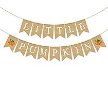 Pumpkin Theme Baby Shower, Clementine Orange, Pumpkin Banner, Baby Shower Images, Baby Shower Garland, Orange Baby Shower, Pumpkin Birthday, Gender Reveal Party Decorations, First Birthday Banners