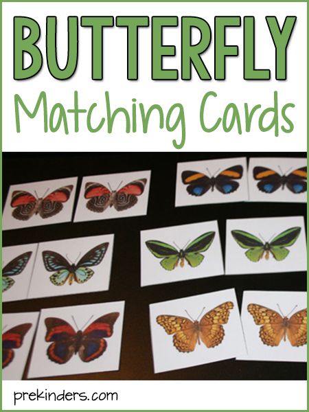 You searched for butterfly - PreKinders Halloween Games For Toddlers, Preschool Insects Activities, Preschool Butterfly, Butterfly Lessons, Bug Games, Bug Activities, Insects Preschool, Butterflies Activities, Bugs Preschool