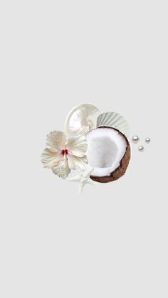 Check out xjaya11's Shuffles blue pretty summer wallpaper 🌴 Shells Aesthetic Wallpaper, Coconut Girl Wallpaper, Coconut Wallpaper, Summer Wallpapers, Cute Summer Wallpapers, Summer 2025, Coconut Girl, Summer Wallpaper, Beach Aesthetic