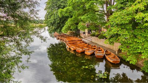 Dedham, Essex, UK | SUITCASE Magazine Lost Gardens Of Heligan, Essex England, Lost Garden, Riverside Walk, Liverpool Street, Picnic Spot, Weekend Breaks, Different Plants, Park City