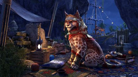 Crown Store Showcase—January 2023 - The Elder Scrolls Online Elder Scrolls Redguard, Elder Scrolls Online, The Elder Scrolls, January 2023, For Honor, Elder Scrolls, Skyrim, Universe, Crown