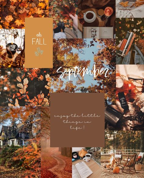 I do not own the photos within this collage. Hello September Collage, September Athstetic, September Wallpapers Aesthetic, Welcome September Aesthetic, September Mood Board Aesthetic, September 2023 Aesthetic, September Aesthetic Wallpaper Iphone, September Wallpaper Ipad, September Collage Wallpaper