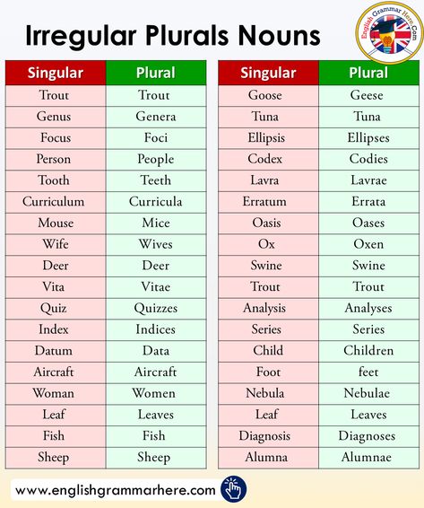 Irregular Plurals Noun in English Irregular Nouns, Plural Nouns Worksheet, Plural Words, Irregular Plural Nouns, Irregular Plurals, Nouns Worksheet, Teaching English Grammar, Essay Writing Skills, Plural Nouns