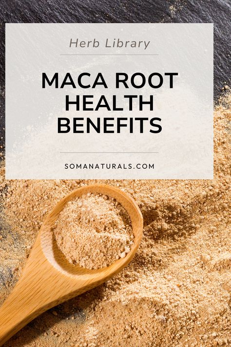 A wooden spoon holding maca root powder on top of a gray table with the powder strewn throughout, title reads: Maca Root Health Benefits Benefits Of Maca Root, Benefits Of Maca, Maca Benefits, Food Motivation, Hormonal Balance, Maca Root, Mood Enhancers, Healthy Food Motivation, Hardy Plants