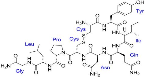 Love Chemical Formula, Chemistry Tattoo, Nucleus Accumbens, Control Cravings, Chemical Formula, Love Actually, Human Behavior, Neuroscience, Finding Joy