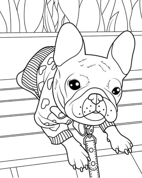 Frenchie Coloring Pages, French Bulldog Coloring Pages, French Bulldog Outline, Bulldog Outline, Bulldog Coloring Pages, French Bulldog Drawing, Cartoon Drawings Sketches, French Bulldog Art, French Dogs