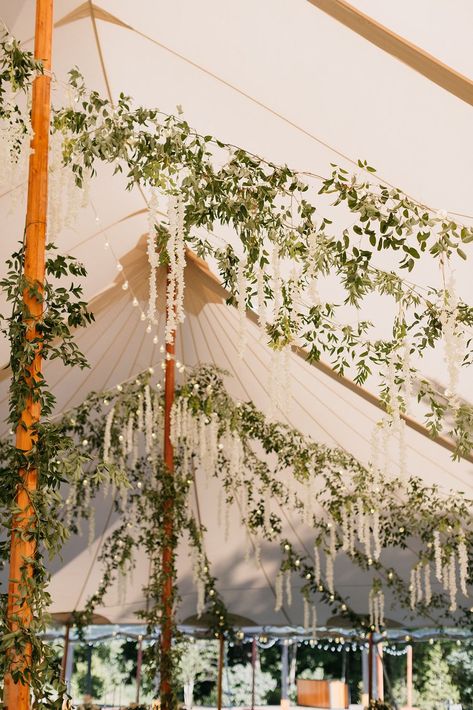 Perfect Tented Wedding Celebration Wedding Tent Garland, Party Tent Set Up, Bistro Lights Tent, Wisteria Tent Wedding, Lights Under Tent Wedding, Flower Tent Decoration, Wedding Vines Decor, Outdoor Wedding Under Tent, Under Tent Wedding Reception