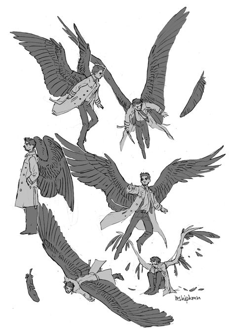 Drawing Pose Ideas, Castiel Wings, Wing Anatomy, Wings Sketch, Supernatural Castiel, Winged People, Winged Creatures, Bird People, Wings Drawing