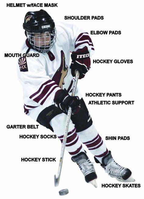 Hockey gear #kanberragel   http://www.kanberragel.com/ Ice Hockey Rules, Hockey Books, Hockey Pants, Hockey Rules, Tennis Pictures, Hockey Birthday, Hockey Socks, Hockey Gear, Hockey Gloves