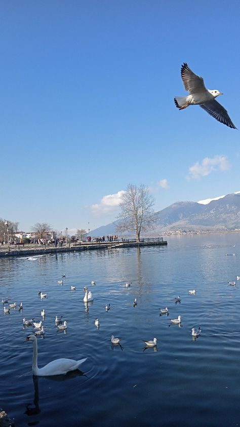 Ioannina Greece Ioannina Greece, Good Times Roll, 2024 Vision, Good Times, Greece, Vision Board, Collage, Travel, Pins