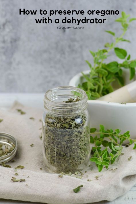 How to preserve oregano by dehydrating. Storing Fresh Ginger, Herb Cabinet, Olive Oil Marinade, Preserve Herbs, Dry Oregano, Drying Fresh Herbs, Preserving Herbs, Mozzarella Salad, Dehydrated Fruit