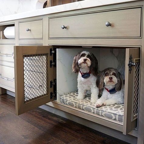 Cantley and Company has our vote for cutest display models! How amazing is this custom made built-in dog bed?! Built In Dog Bed, In The Dog House, Dog Spaces, Pet Spaces, Dog Area, Basket And Crate, Animal Room, Dog Rooms, Dog Shower