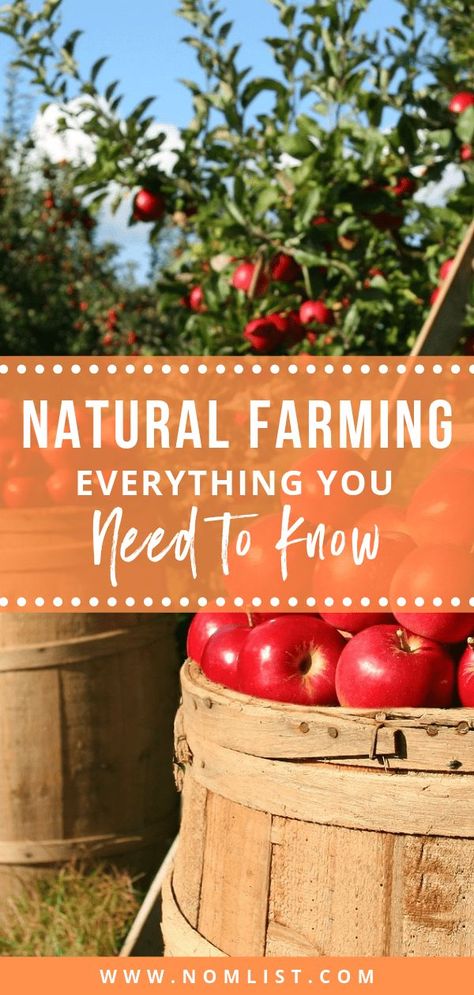 Farm Goals, Fijian Food, Farming Tips, Farming Ideas, Agricultural Engineering, Modern Agriculture, Natural Farming, Food Resources, Agriculture Education